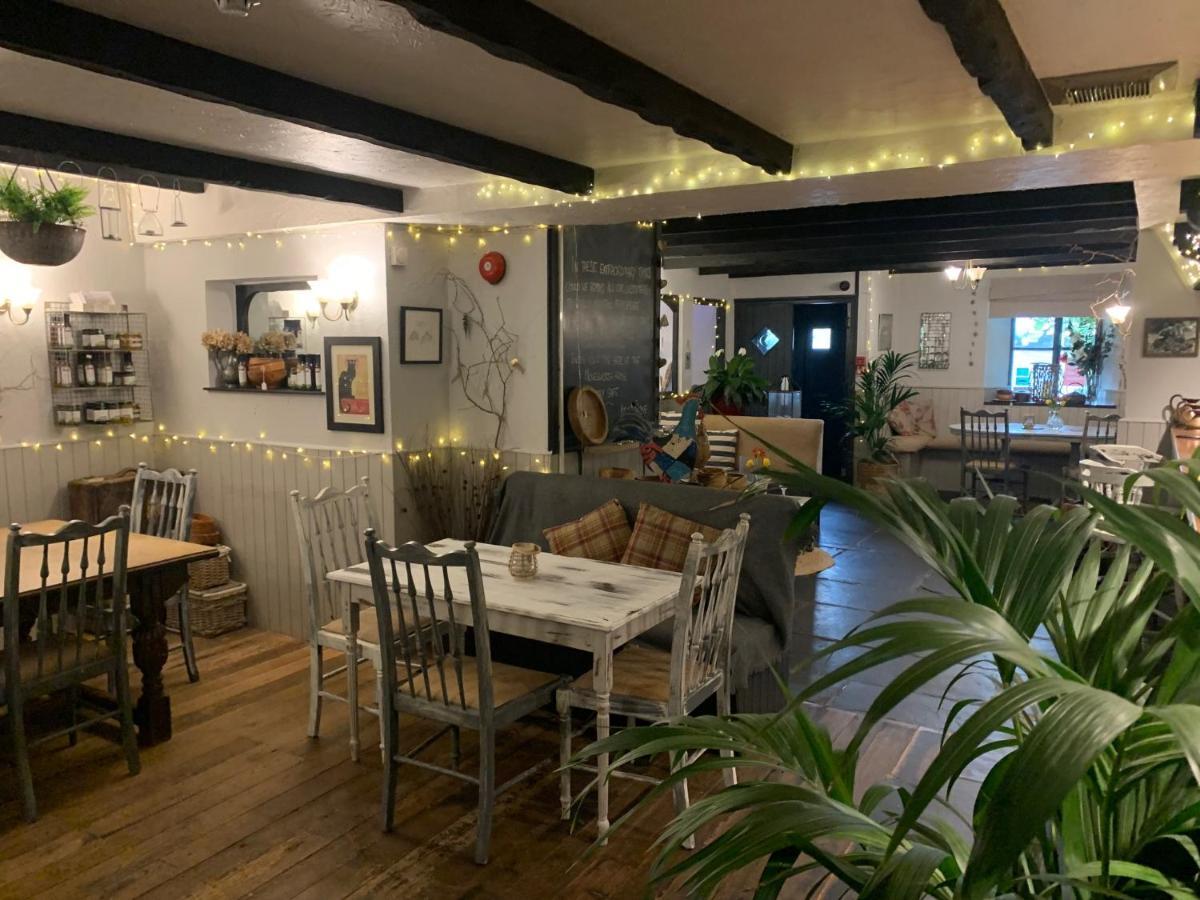 Molesworth Accommodation, Pyworthy, Devon 홀스워디 외부 사진