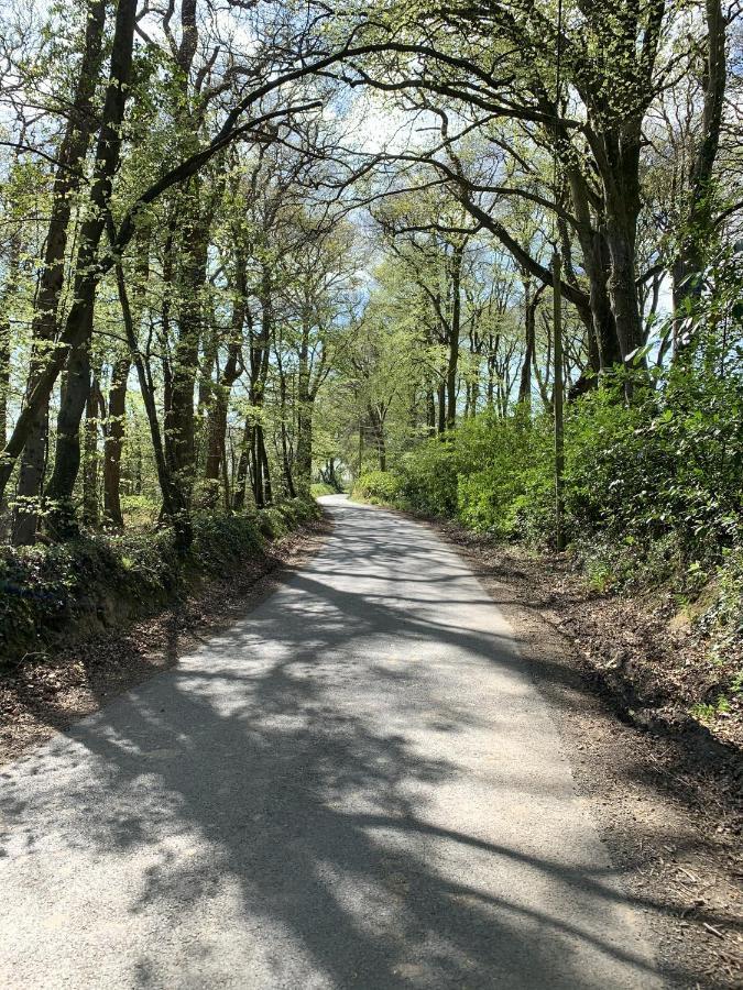 Molesworth Accommodation, Pyworthy, Devon 홀스워디 외부 사진