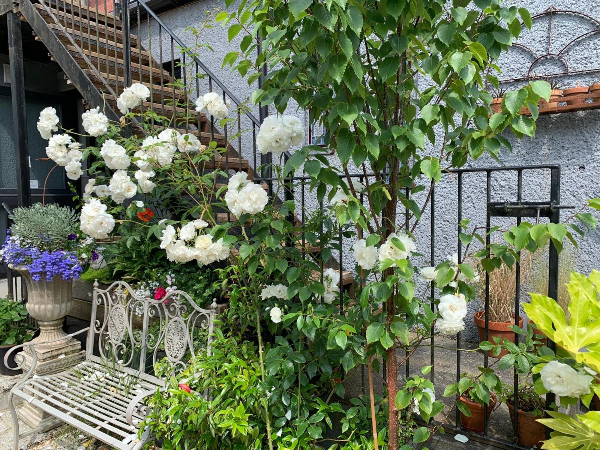 Molesworth Accommodation, Pyworthy, Devon 홀스워디 외부 사진
