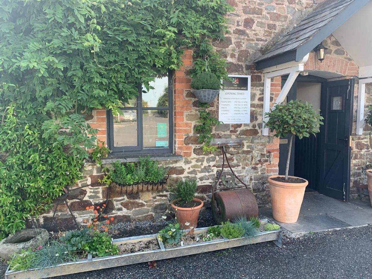 홀스워디 Molesworth Arms Pyworthy B&B 외부 사진